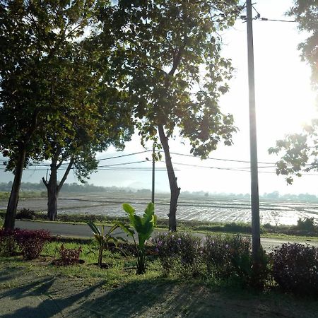 Idul Sunrise View Hotel Pantai Cenang  Exterior photo